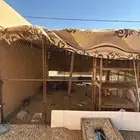 شبك للبيع كبير