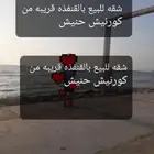 القنفذة اثاث