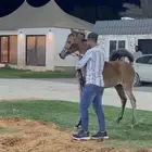 مهره واهو بنت البطل راج المكتوب