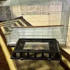 للبيع قفص طيور حجم كبير استخدام يومين اخوجديد مره نظيف