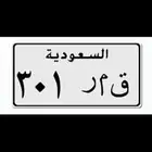 لوحة مميزة ( قمر 301 )