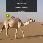 بكر طيبه اصيل متلي