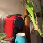 مكينه نسبريو م فيها ولا شي ابد السدادات بسيط الي يبيها يتوص