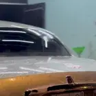 لوحة 8555