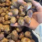 تمر فنخاء كراتين موز عدد 600 او اكثر