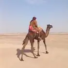 رحول مجهم ثنيه عسيف