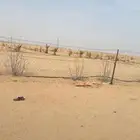 للبيع بالدوادمي