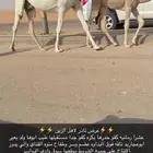 عشرا كفو