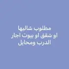 مطلوب شاليهات اجار