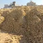 يوجد للبيع دفان