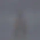 شقق