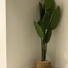 شجرة زينه ديكور