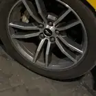 جنوط موستنج