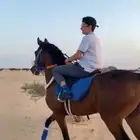 حصان سبق ومحقق