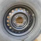 جنوط