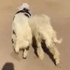 خرافات للبيع