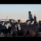 مراح عوارض دفيع شرط فحص سونار .