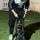 فندقة كلاب