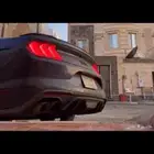 دفيوزر لحية موستنق