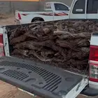 صندوق هايلكس