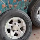 جنوط ربع شاص ..