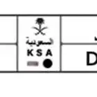 لوحة رعد