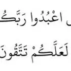 ابحث عن شقة اجار حول جامع مالك بن انس او السلطانه