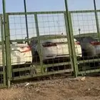 تشليح قطع غيار كل القطع موجود امريكي تيوتأ نيسان