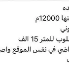 ارض مساحه 12000 للبيع جده