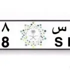 لوحة مميزه للبيع
