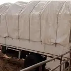 صندوق دينا