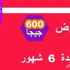 عروض على شرايح البيانات لمدة خمسه ايام