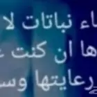 أيها اللبيب صل على الحبيب