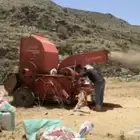 مطلوب دياسه اجار خميس مشيط