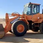 معدة شيول دوسان