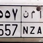 لوحة مجدد مفحوص