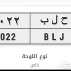 للبيع لوحه خصوصي مميزه 2022
