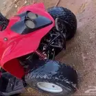 دباب
