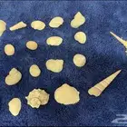 مستلزمات أسماك