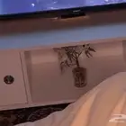 طاولة تفلزيون وكنب