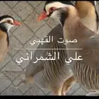 قهبي او حجل