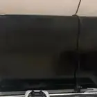 تلفزيون
