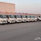 ايسوزو ديانا شاص قصير