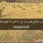 رودس صافي شد طيب