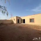 ديوانيات مؤثثة على طريق الملك عبد الله