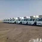ايجار دينات ايسوزو تبريد تجميد
