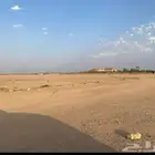 مشاع بياض الطوير