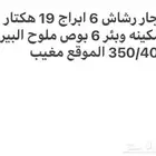 رشاش الايجار 6 ابراج في مغيب (بصل . حبحب . بطاطس . ورقيات.)