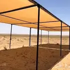 مضلات الإبل