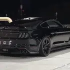 مطلوب موستنج